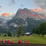 Hotel Bodmi