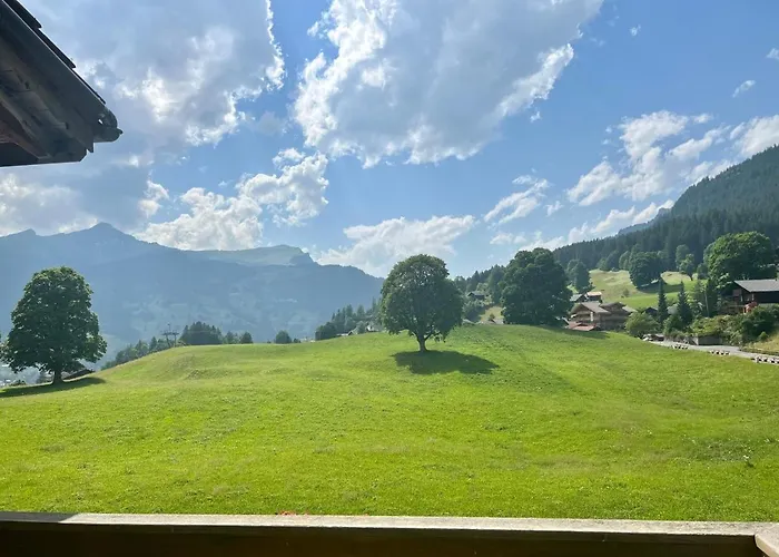 Ξενοδοχείο Bodmi