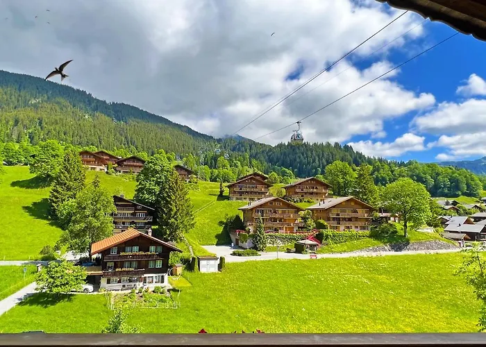 Hotel Bodmi 3*