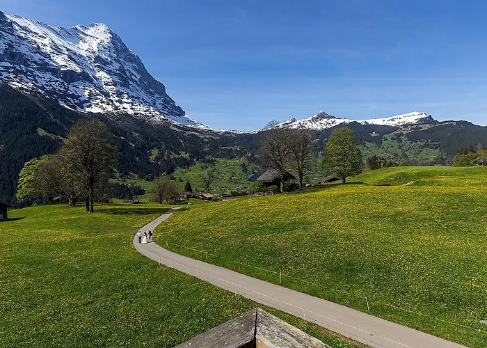 Bodmi Ξενοδοχείο 3*