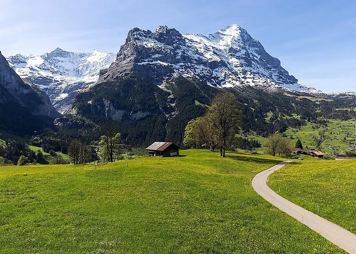 Bodmi Ξενοδοχείο 3*