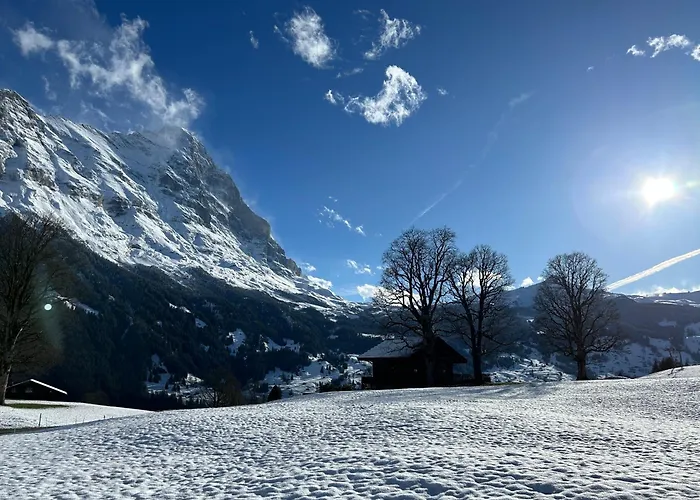 Bodmi Ξενοδοχείο