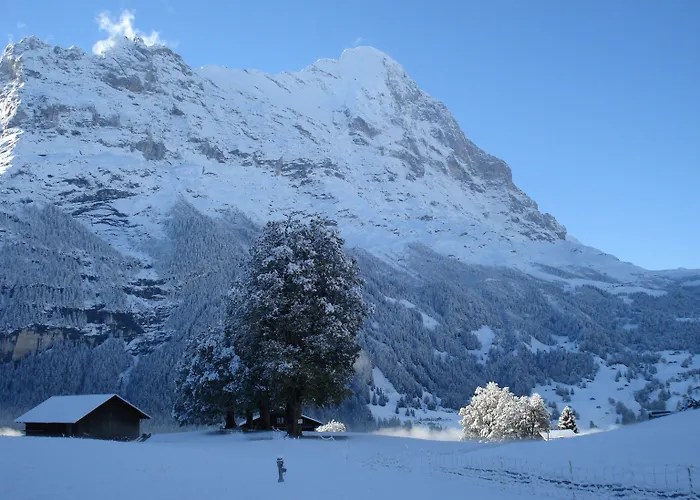 Bodmi Hotel Grindelwald