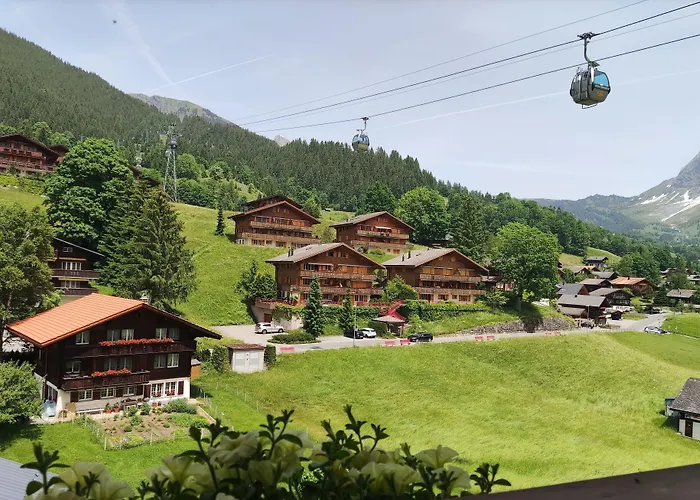 Hotel Bodmi 3*