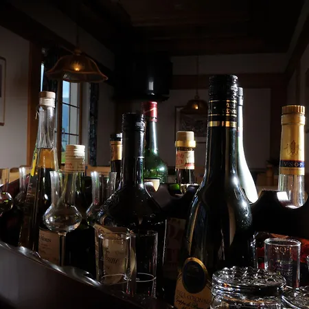 Hotel Bodmi